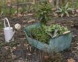 mand en gieter loberon
