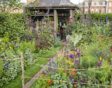 Chelsea Flower Show 2023