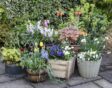 welke bloempot