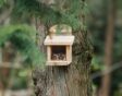Een voederkastje aan de boom zal zeker wat belangstelling wekken bij de dieren rondom jouw tuin