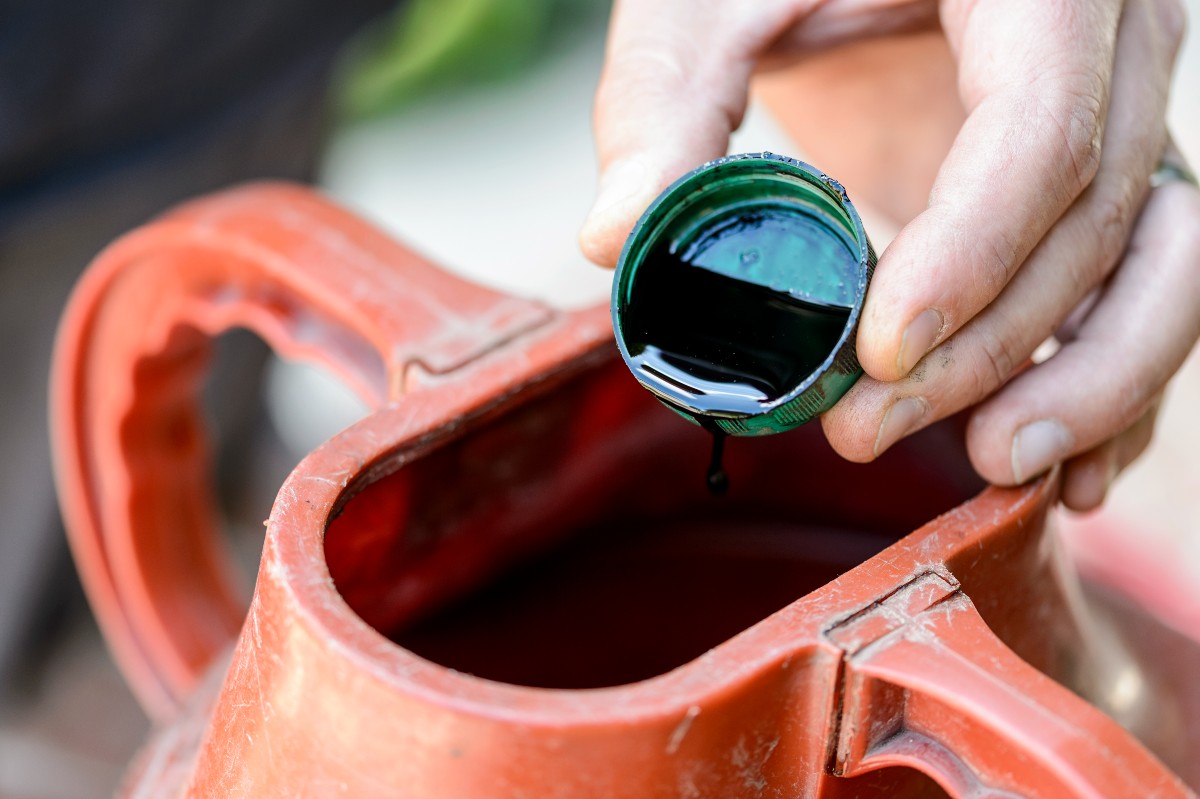 Voeg vloeibare plantenvoeding toe aan het gietwater