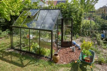 Afbeelding voor Zo bescherm je je kasplanten tijdens een hittegolf