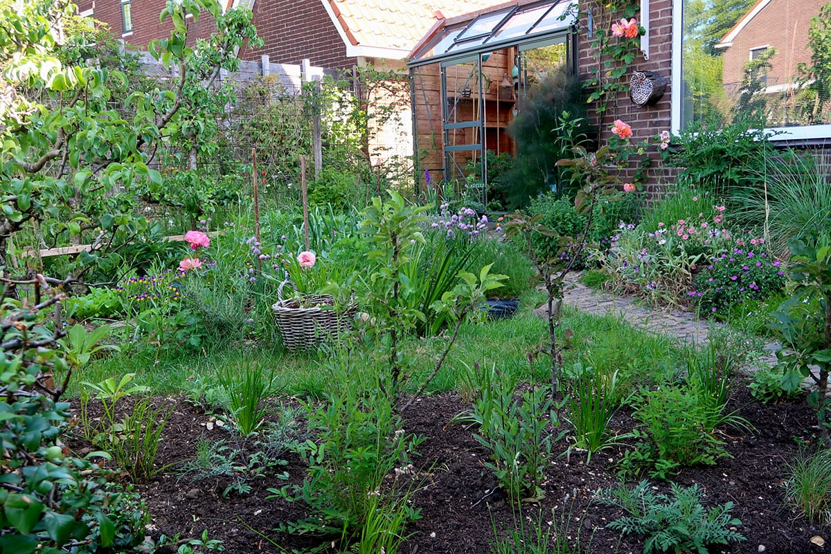 mini-moestuin Marloes van der Sluis