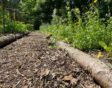 moestuin houtsnippers boomstammen