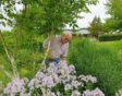 Arjan Schepers van Arjan Schepers Vaste Planten