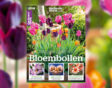 bloembollen cover artikel