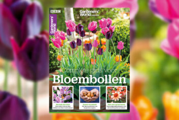 bloembollen cover artikel