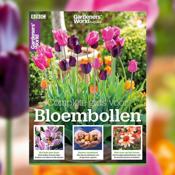 Dit is waarom je voor biologische bloembollen moet gaan - Gardeners World
