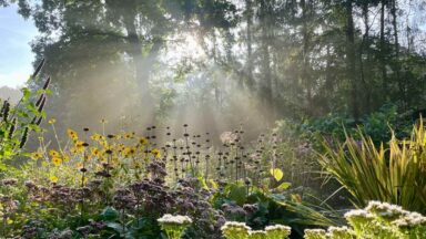 herfst tuin aanleggen