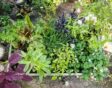 Ecotuintje verhoogde moestuintafel