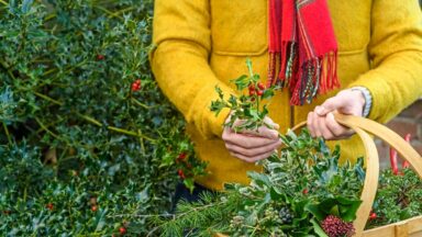 Verzamel je materialen voor je guirlande en ga aan de slag met het stappenplan