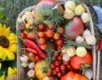 goede voornemens nieuw tuinjaar