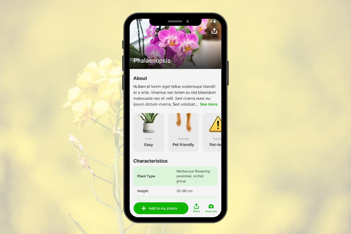 Planten herkennen met apps: de beste keuze - Gardeners World