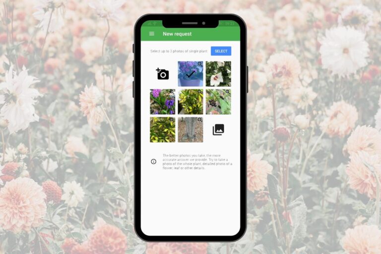 Planten herkennen met apps: de beste keuze - Gardeners World