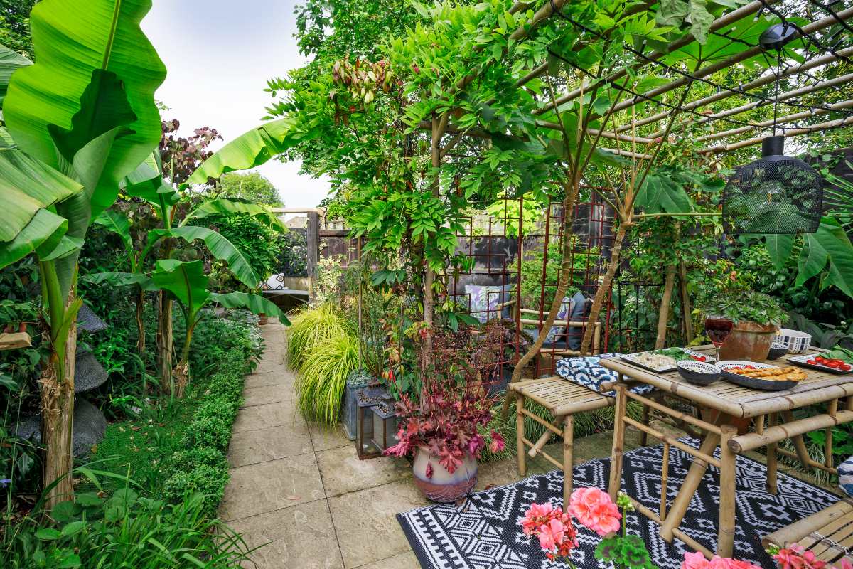Aan de slag: je tuin vergroenen in 7 dagen - Gardeners World
