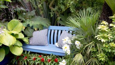 thumbnail voor Aan de slag: je tuin vergroenen in 7 dagen