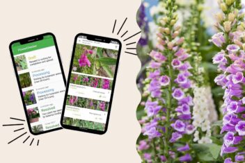 planten herkennen apps