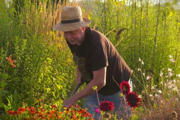 Kijk mee in de tuin van Frans Nienhuis.