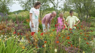 Gezin kijkt naar bloemen in Bloemenpark Appeltern.
