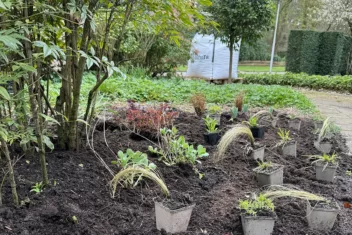 nieuwe tuin beplanten
