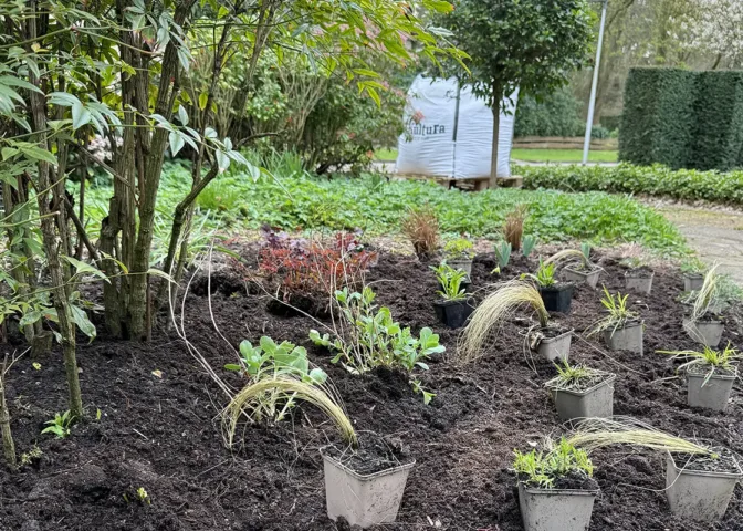 nieuwe tuin beplanten