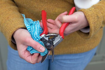 Tuingereedschap, snoeischaar schoonmaken.