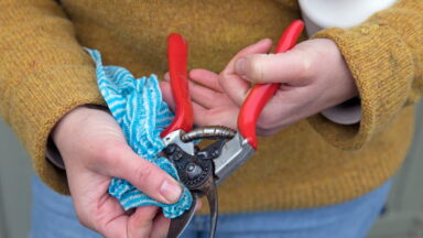Tuingereedschap, snoeischaar schoonmaken.