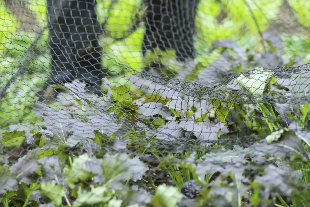 Pas op met tuinonderdelen als netten, waarin tuindieren verstrikt kunnen raken.