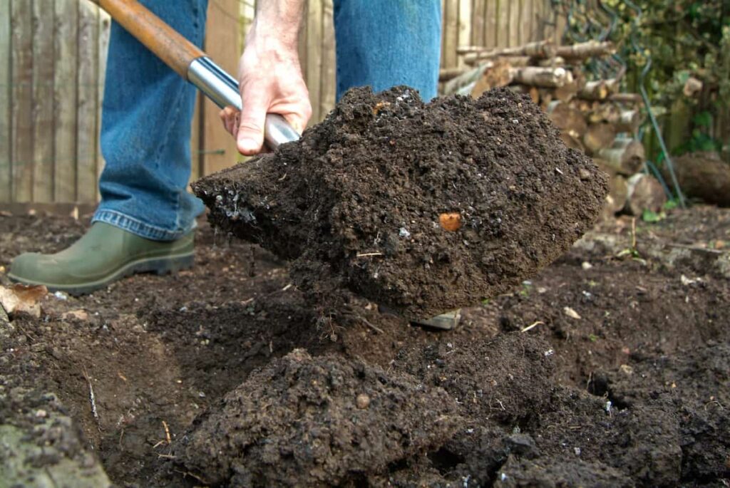 Een van de tuinfouten die vaker wordt gemaakt: niet opwarmen voor het tuinieren! Bespaar jezelf spierpijn met deze eenvoudige tip.