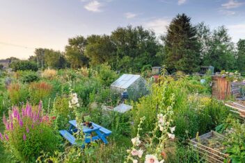 Maak niet de tuinfout om een volkstuin te beginnen als je er eigenlijk geen tijd voor hebt.