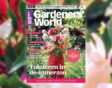 Cover van 