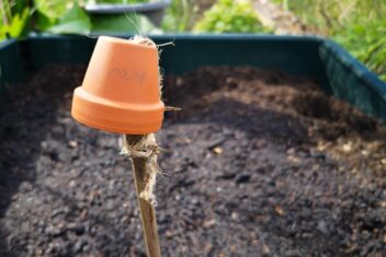 Afbeelding voor Checklist voor de tuin: week #20