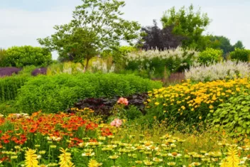 Bezoek Bloemenpark Appelterm met Gardeners' World korting!