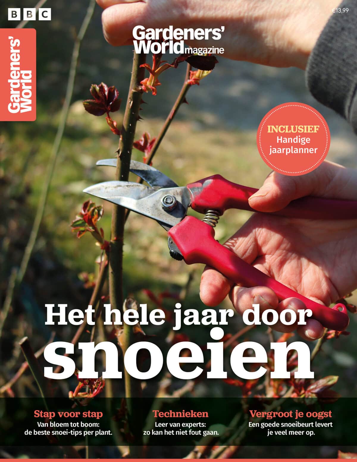 Het hele jaar door snoeien