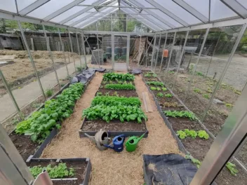 Afbeelding voor Euro-Serre: ‘Buiten-gewoon gelukkig’ met Eleander Maes