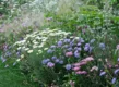 Geniet bij terugkomst weer van je pluktuin en plan wat tijd in om je planten te verzorgen.