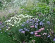 Geniet bij terugkomst weer van je pluktuin en plan wat tijd in om je planten te verzorgen.