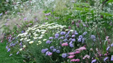Geniet bij terugkomst weer van je pluktuin en plan wat tijd in om je planten te verzorgen.