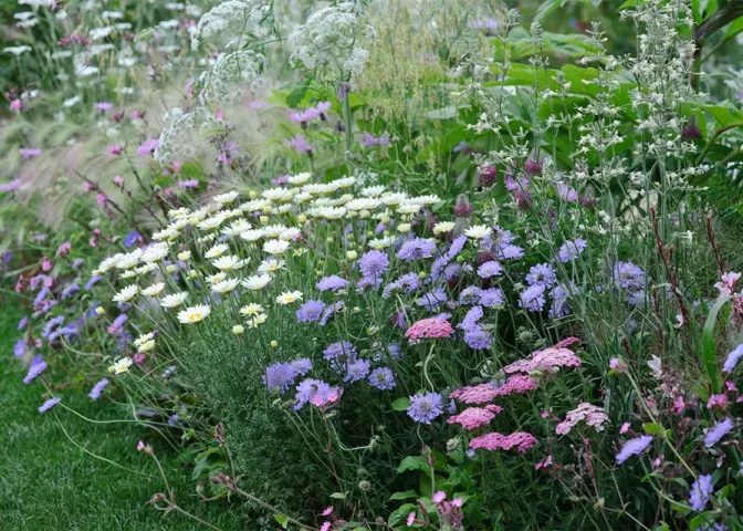 Geniet bij terugkomst weer van je pluktuin en plan wat tijd in om je planten te verzorgen.