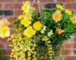 Lees in de checklist wat je deze week kunt doen in de tuin!