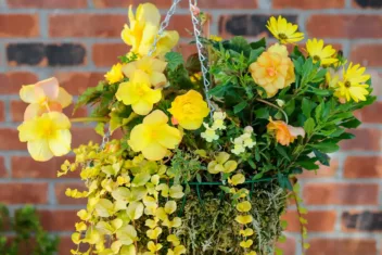 Lees in de checklist wat je deze week kunt doen in de tuin!