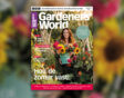 Cover van 