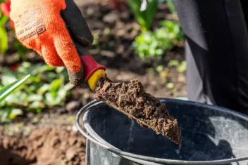 Kijk mee bij de Bio-Kultura bodemanalyse in de tuin van Diny Herbrink.