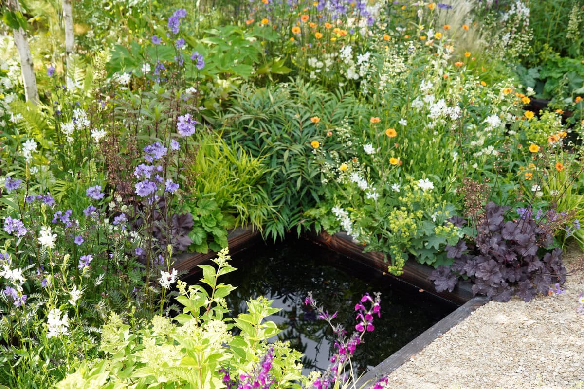 Een kleine, vierkante vijver omgeven door verschillende bloemen en planten in paars, oranje, wit en roze.