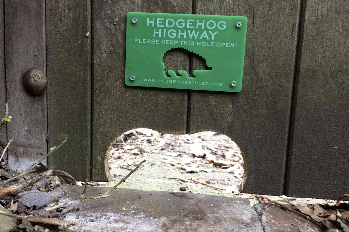 Een bordje met 'hedgehog highway' boven een gat in de poort.
