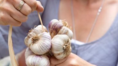 Iemand bindt knoflook bij elkaar.