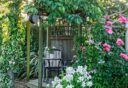 Een knusse achtertuin waar rozen, clematis en klimop zorgen voor een gelaagde, samenhangende look rondom een tuinhuis.