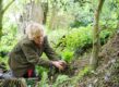 Vrouw plant een schaduwplant in de aarde.