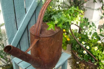 Tuin ideeen klein budget; hergebruik