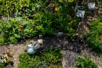 Gebruik woldoek om paden aan te leggen.